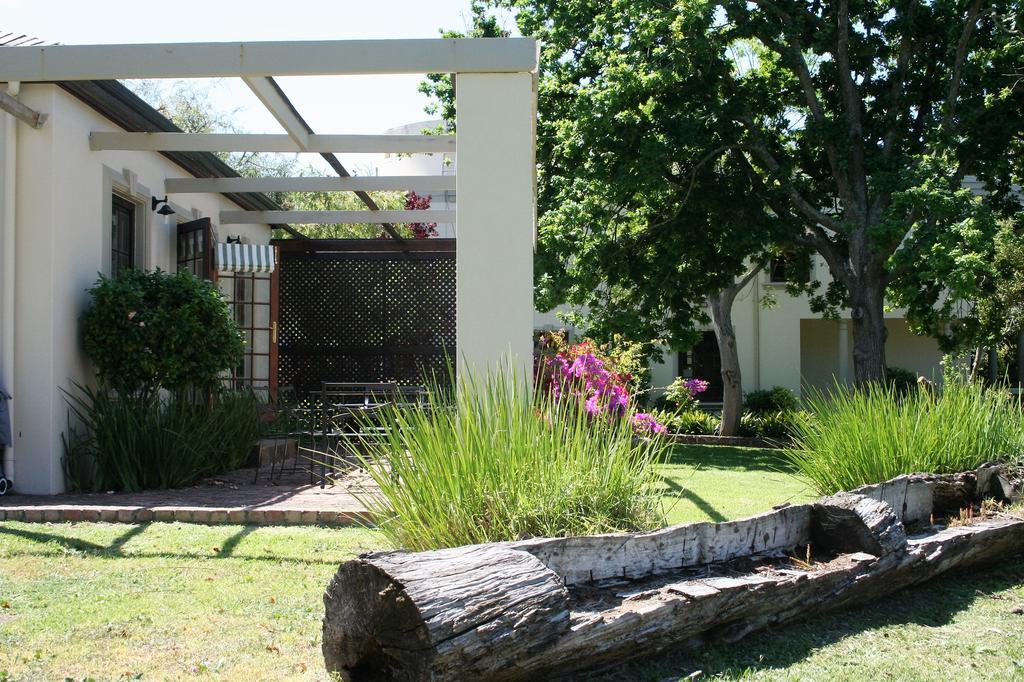 Ibis House Cape Town
