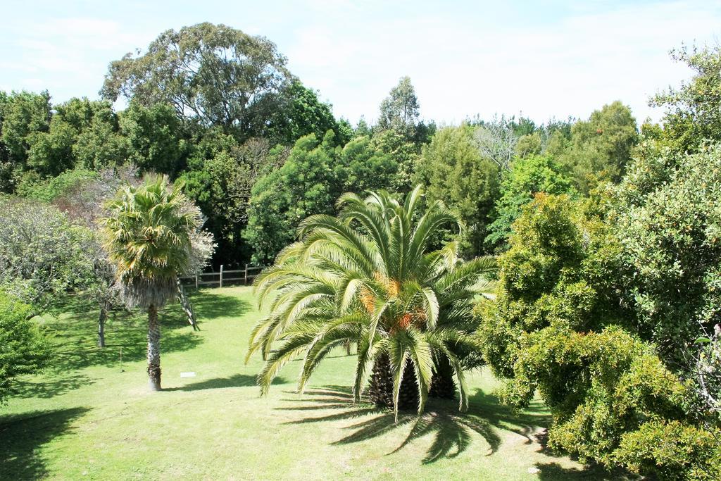 Ibis House