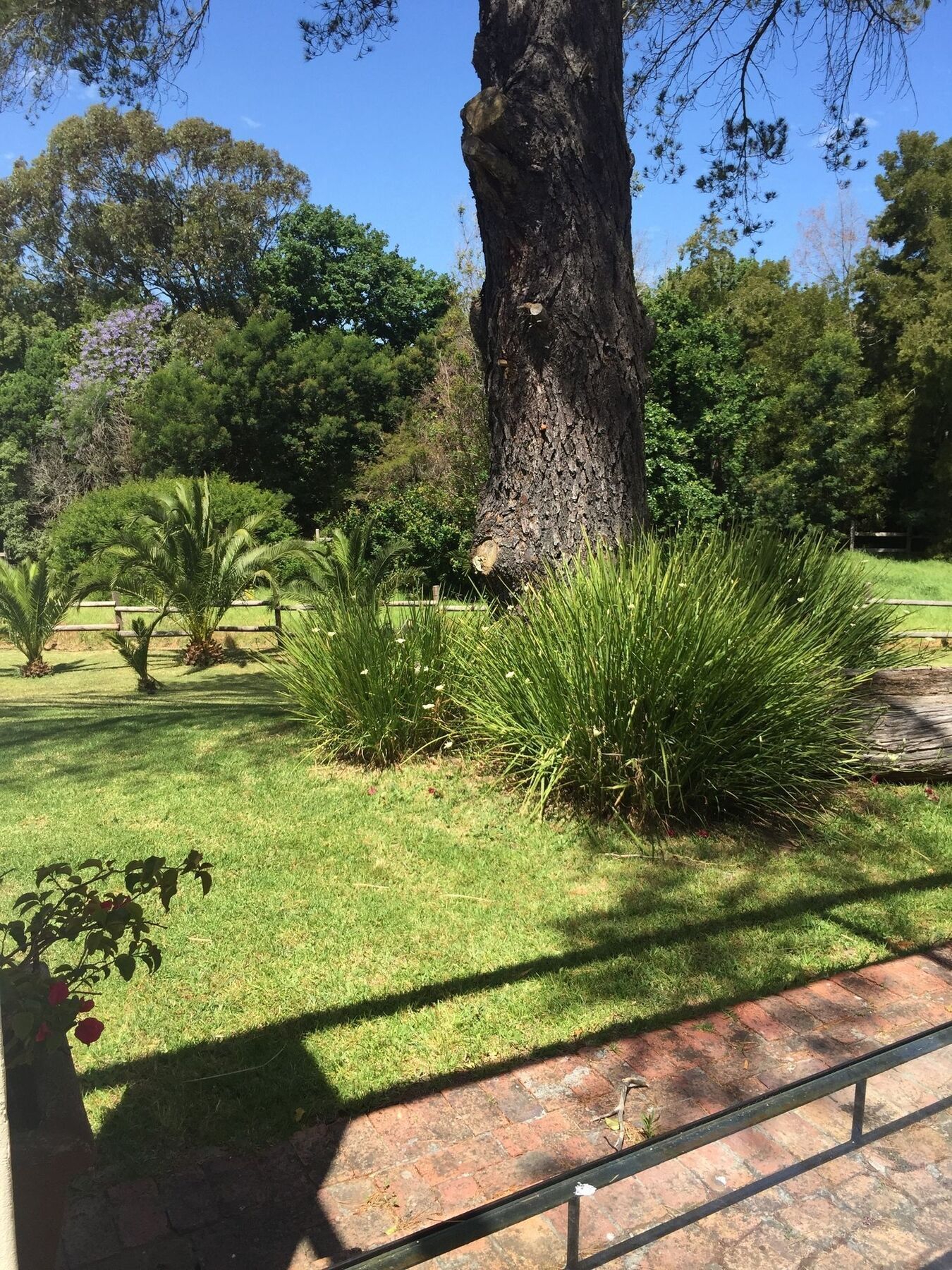 Guest house Ibis House Cape Town