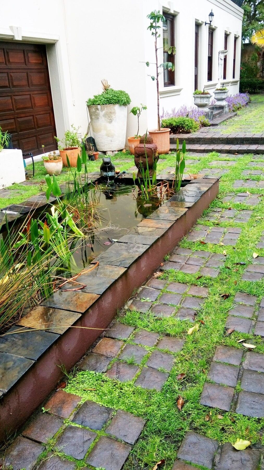 Ibis House 4*